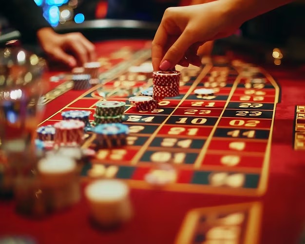 Wild Coaster live dealer table interface on leci slot mobile app